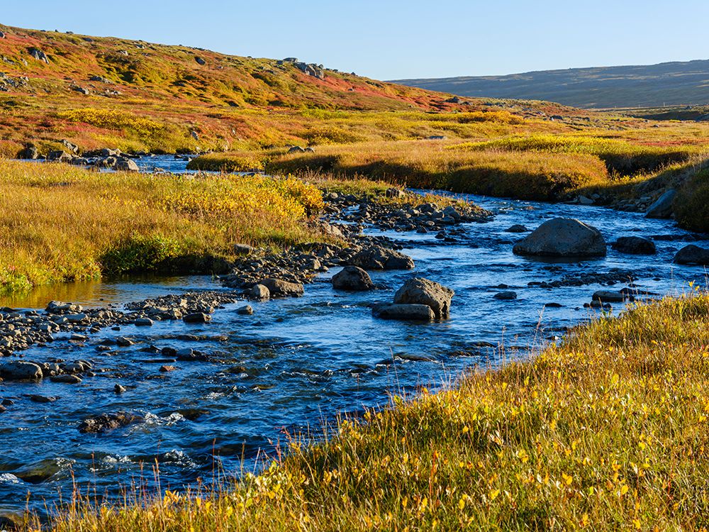 Iceland, colors of fall in Middalur at Steingrimsfjardarheidi during autumn. art print by Martin Zwick for $57.95 CAD