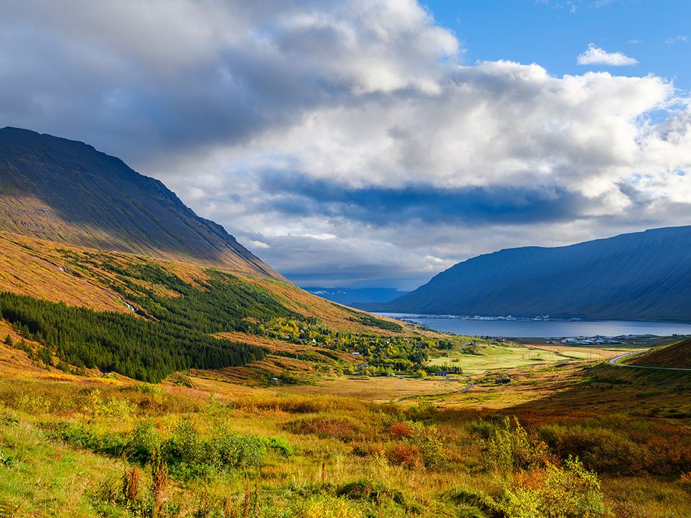 Iceland, Engidalur and Isafjordur. Capital of the Westfjords during autumn. art print by Martin Zwick for $57.95 CAD