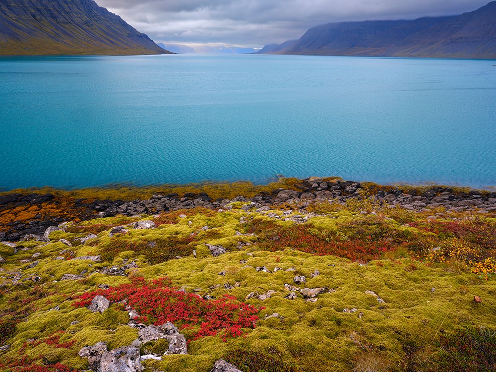 Iceland. Fjord Borgarfjordur and Arnarfjordur during autumn. art print by Martin Zwick for $57.95 CAD