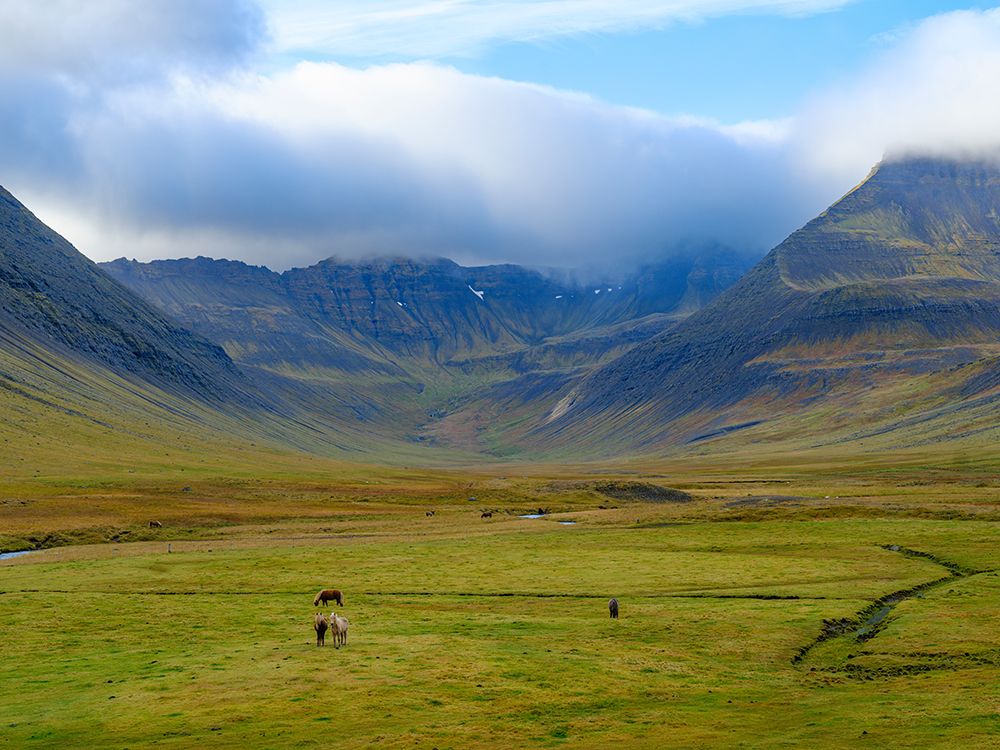 Iceland. Haukadalur in Dyrafjordur during autumn. art print by Martin Zwick for $57.95 CAD