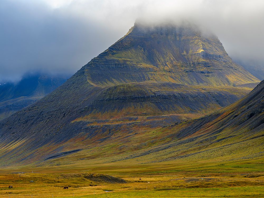 Iceland. Haukadalur in Dyrafjordur during autumn. art print by Martin Zwick for $57.95 CAD
