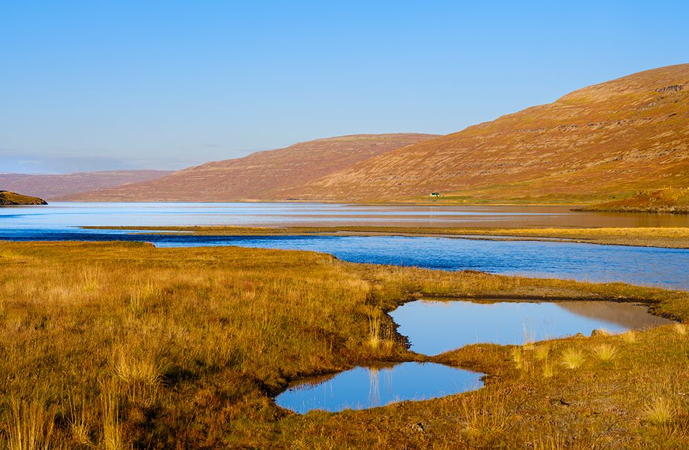 Iceland. Hvanneyrardalur and coastline Strandabyggd in fjord Isafjordur during autumn. art print by Martin Zwick for $57.95 CAD