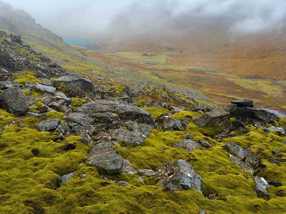Iceland. Landscape at Dynjandiheidi during autumn. art print by Martin Zwick for $57.95 CAD