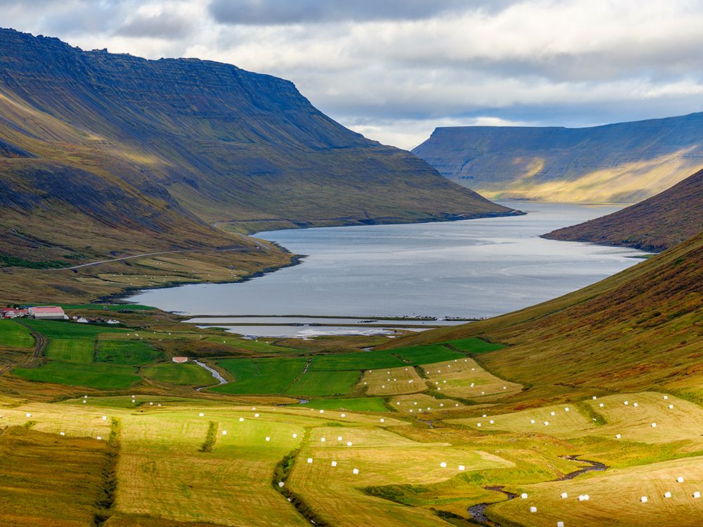 Iceland. Landscape in Botnsdalur and Sugandafjordur during autumn. art print by Martin Zwick for $57.95 CAD