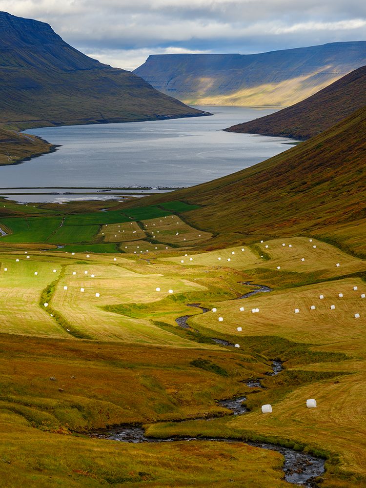Iceland. Landscape in Botnsdalur and Sugandafjordur during autumn. art print by Martin Zwick for $57.95 CAD