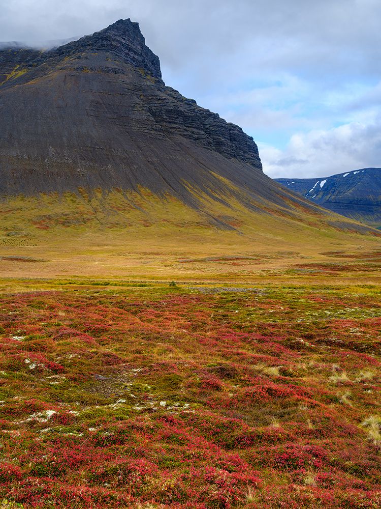 Iceland. Landscape in Dyrafjordur during autumn. art print by Martin Zwick for $57.95 CAD