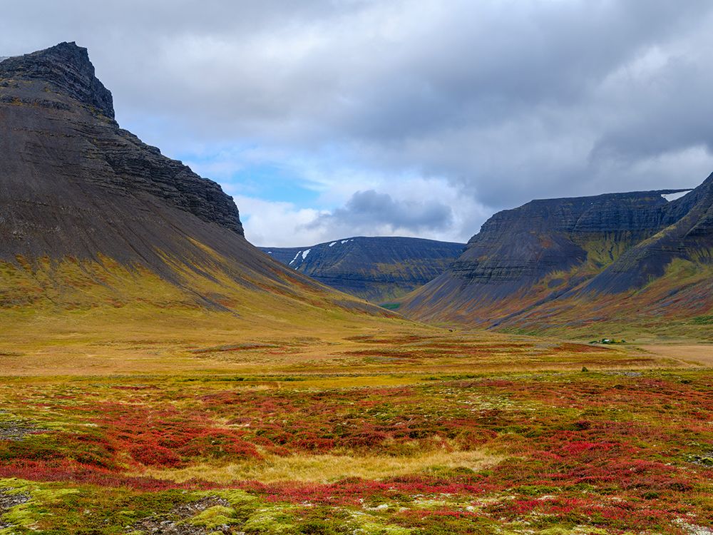Iceland. Landscape in Dyrafjordur during autumn. art print by Martin Zwick for $57.95 CAD