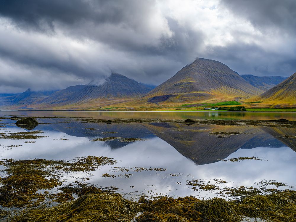 Iceland. Landscape in Dyrafjordur during autumn. art print by Martin Zwick for $57.95 CAD