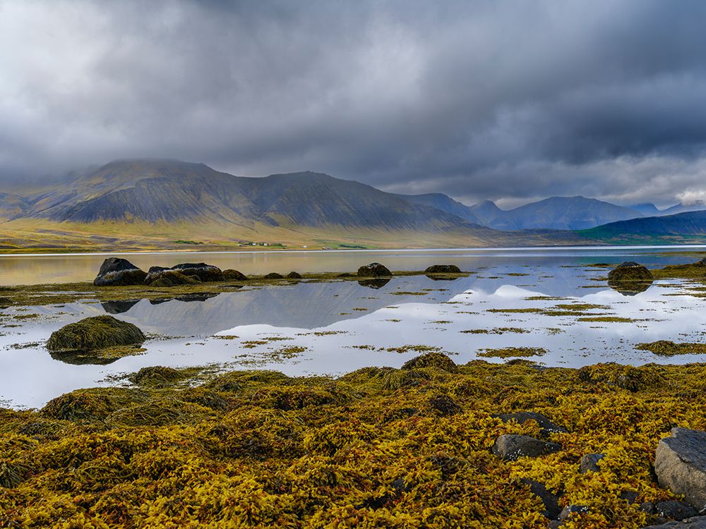 Iceland. Landscape in Dyrafjordur during autumn. art print by Martin Zwick for $57.95 CAD