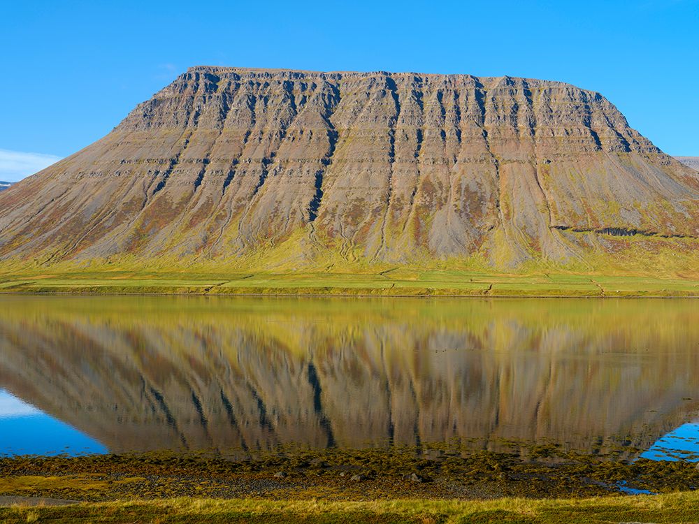 Iceland. Landscape in fjord Alftafjordur during autumn. art print by Martin Zwick for $57.95 CAD