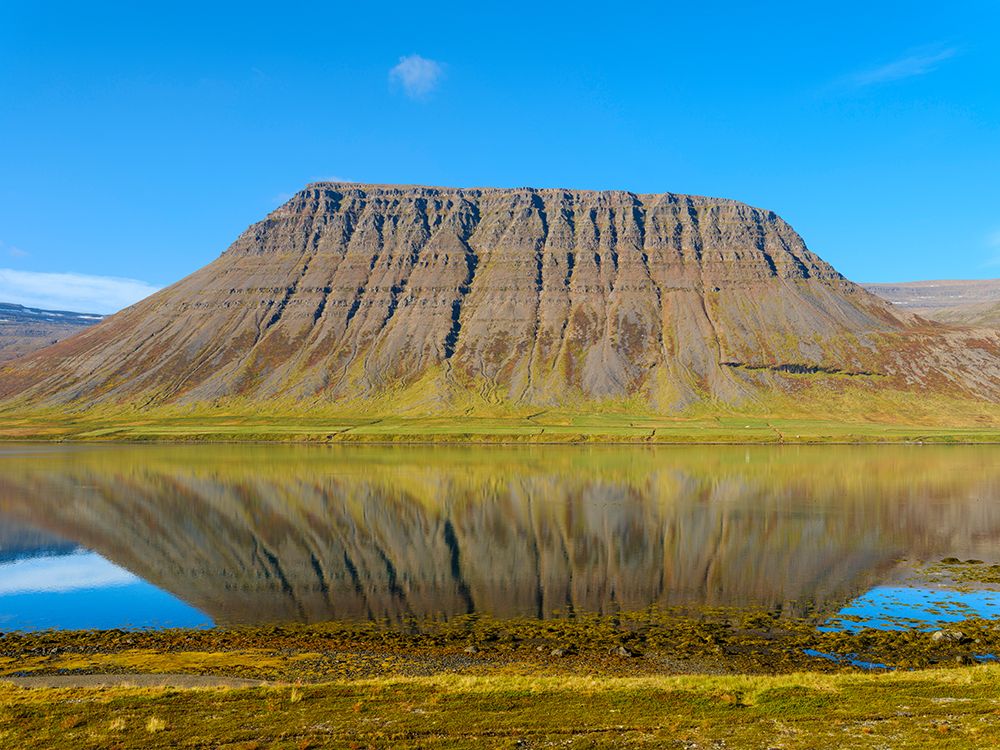 Iceland. Landscape in fjord Alftafjordur during autumn. art print by Martin Zwick for $57.95 CAD