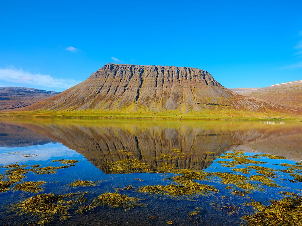 Iceland. Landscape in fjord Alftafjordur during autumn. art print by Martin Zwick for $57.95 CAD