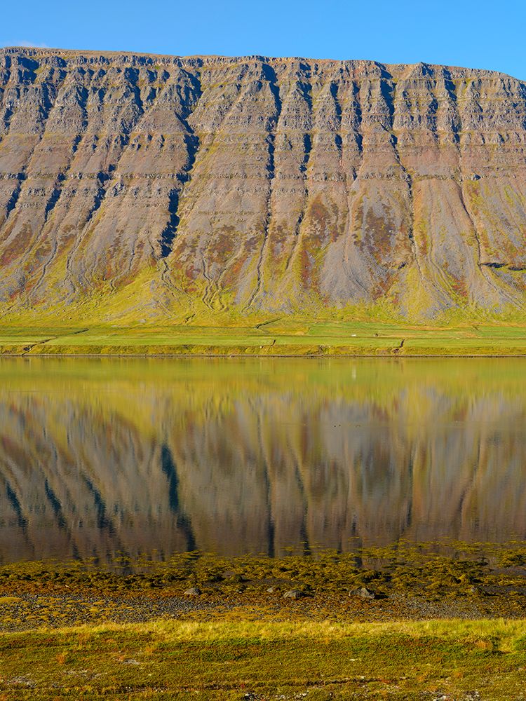 Iceland. Landscape in fjord Alftafjordur during autumn. art print by Martin Zwick for $57.95 CAD