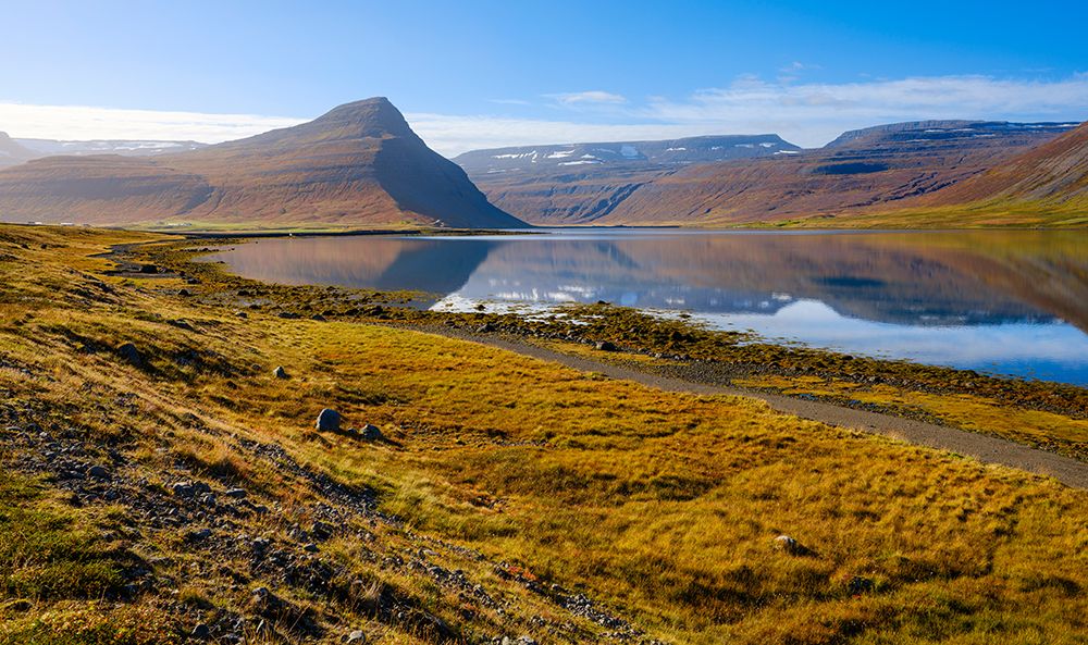 Iceland. Landscape in fjord Alftafjordur during autumn. art print by Martin Zwick for $57.95 CAD