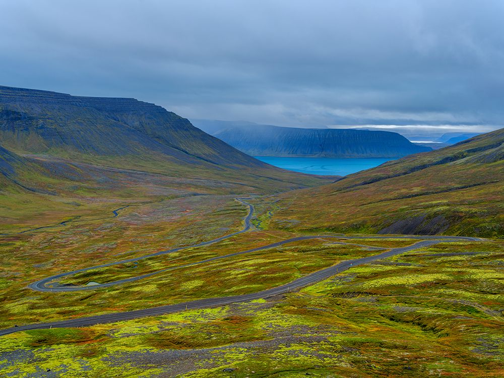 Iceland. Road over Hrafnseyrarheidi near Thingeyri during autumn. art print by Martin Zwick for $57.95 CAD