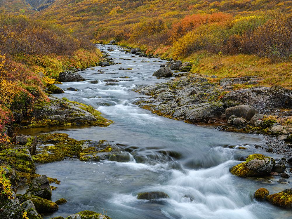 Iceland. Sunndalur in Trostansfjordur during autumn. art print by Martin Zwick for $57.95 CAD