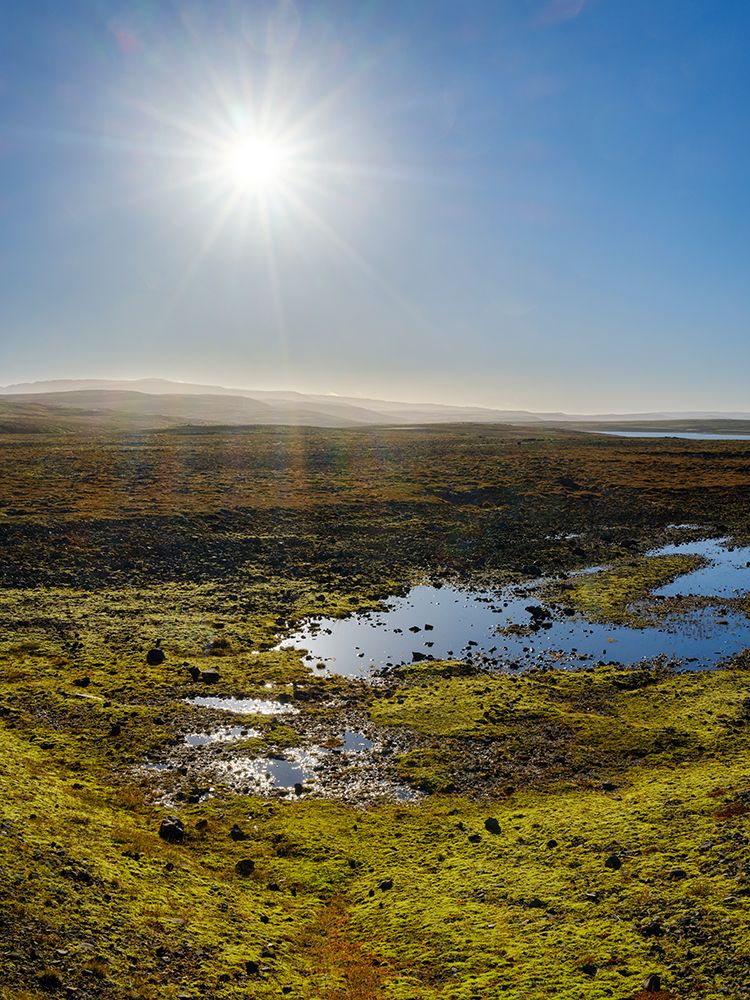 Iceland. The Steingrimsfjardarheidi during autumn. art print by Martin Zwick for $57.95 CAD