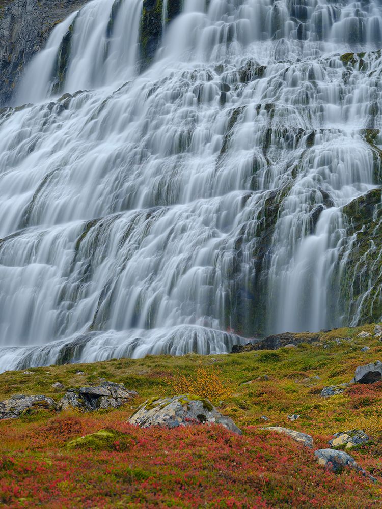 Iceland. Waterfall Dynjandi in Borgarfjordur during autumn. art print by Martin Zwick for $57.95 CAD