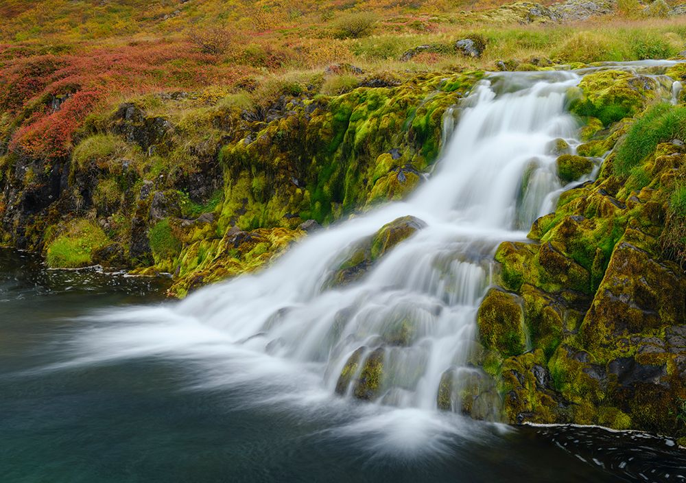 Iceland. Waterfall Dynjandi in Borgarfjordur during autumn. art print by Martin Zwick for $57.95 CAD