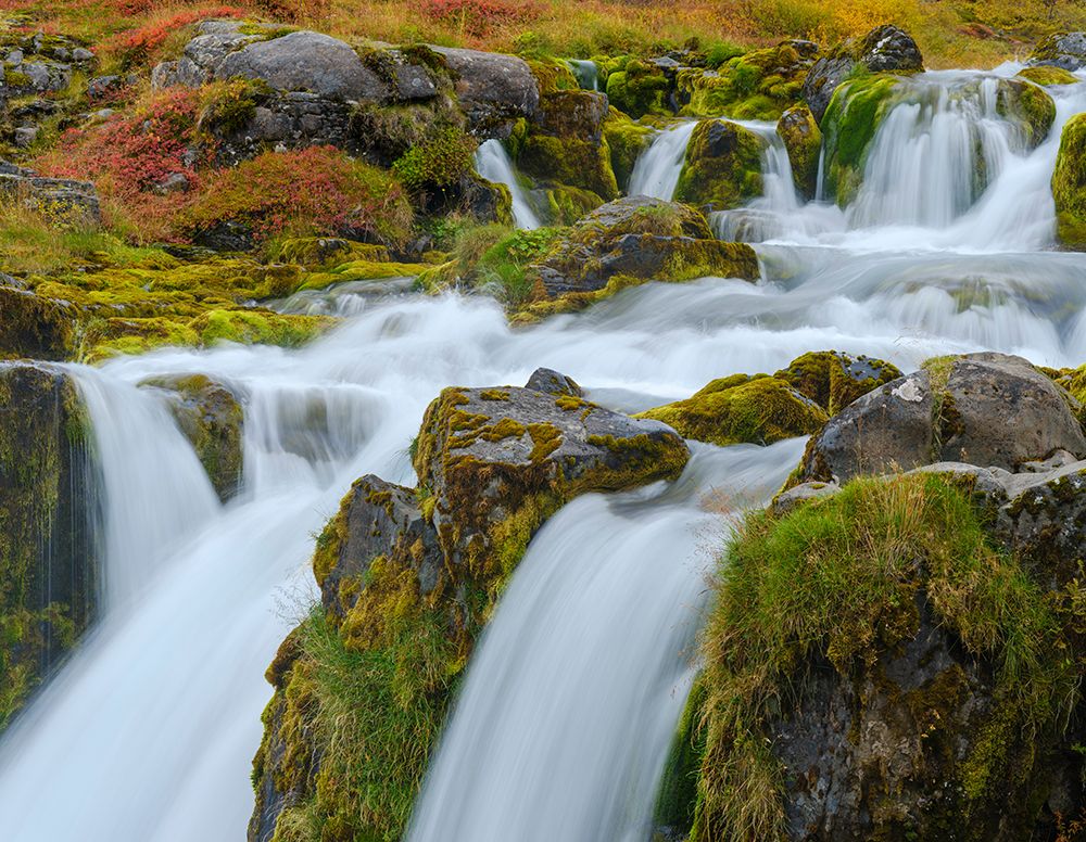 Iceland. Waterfall Dynjandi in Borgarfjordur during autumn. art print by Martin Zwick for $57.95 CAD