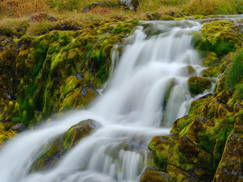 Iceland. Waterfall Dynjandi in Borgarfjordur during autumn. art print by Martin Zwick for $57.95 CAD