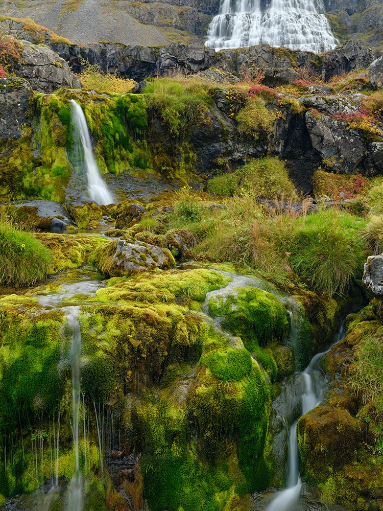 Iceland. Waterfall Dynjandi in Borgarfjordur during autumn. art print by Martin Zwick for $57.95 CAD