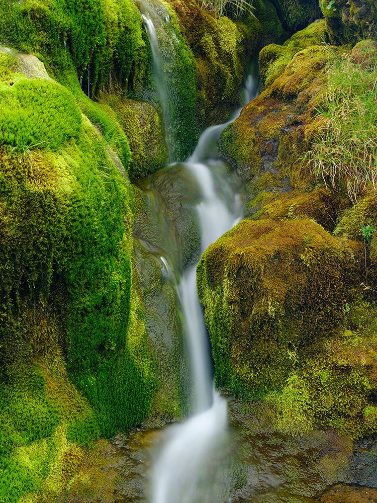 Iceland. Waterfall Dynjandi in Borgarfjordur during autumn. art print by Martin Zwick for $57.95 CAD