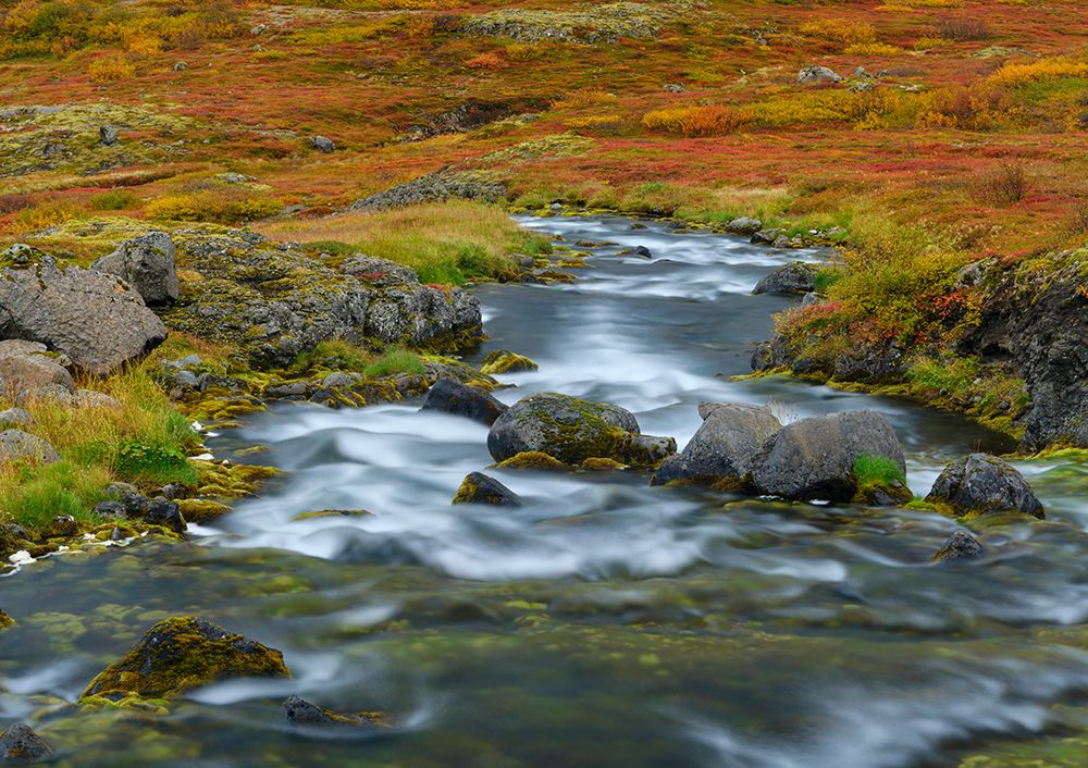 Iceland. Waterfall Dynjandi in Borgarfjordur during autumn. art print by Martin Zwick for $57.95 CAD