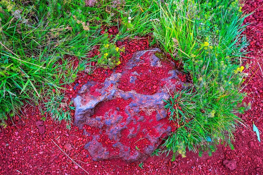 Red Volcanic Stone green Grass Kerio Volcano Crater blue Lake Golden Falls Golden Circle art print by William Perry for $57.95 CAD