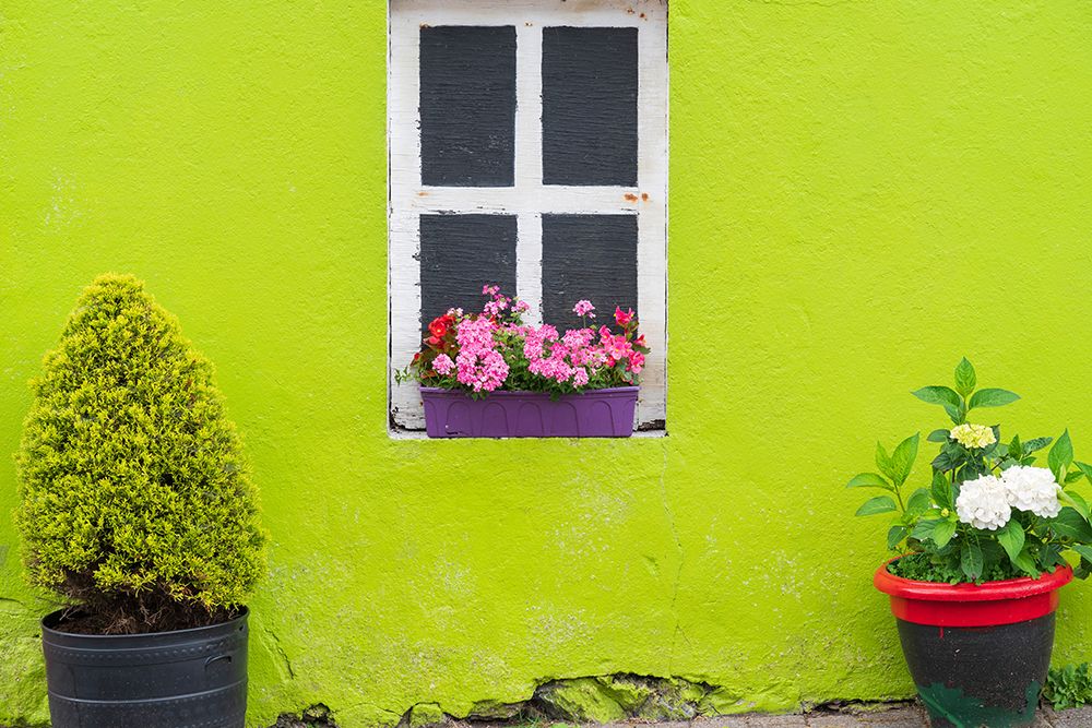 Europe-Ireland-Eyeries-Exterior of weathered house art print by Jaynes Gallery for $57.95 CAD