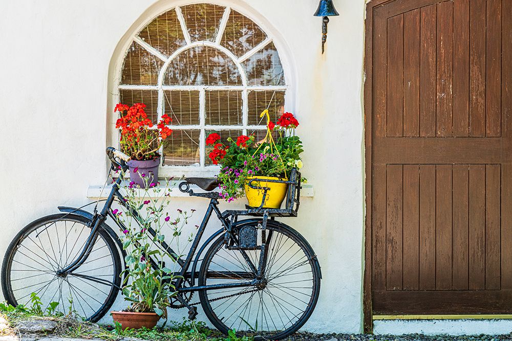 Europe-Ireland-County Cork-Bicycle next to house with potted plants art print by Jaynes Gallery for $57.95 CAD