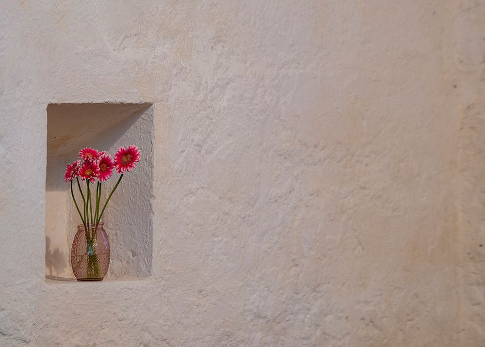 Floral tribute growing a niche in the stone walls of Ballintubber Abbey-County Mayo-Ireland. art print by Betty Sederquist for $57.95 CAD