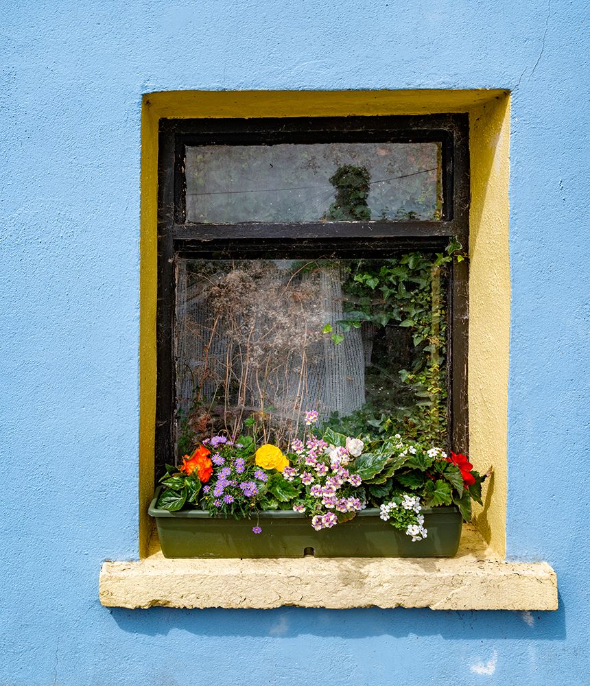 Window greets visitors in the village of Cong-Connacht County-Ireland. art print by Betty Sederquist for $57.95 CAD