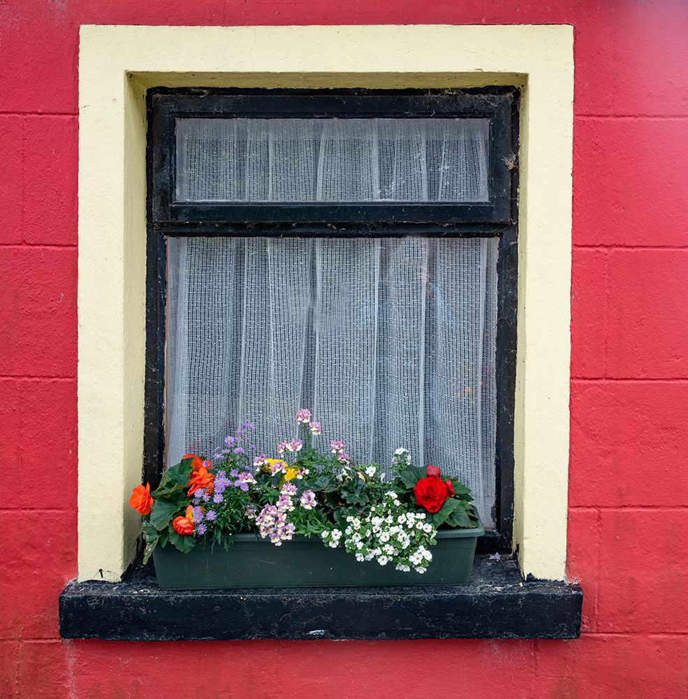 Window greets visitors in the village of Cong-Connacht County-Ireland. art print by Betty Sederquist for $57.95 CAD
