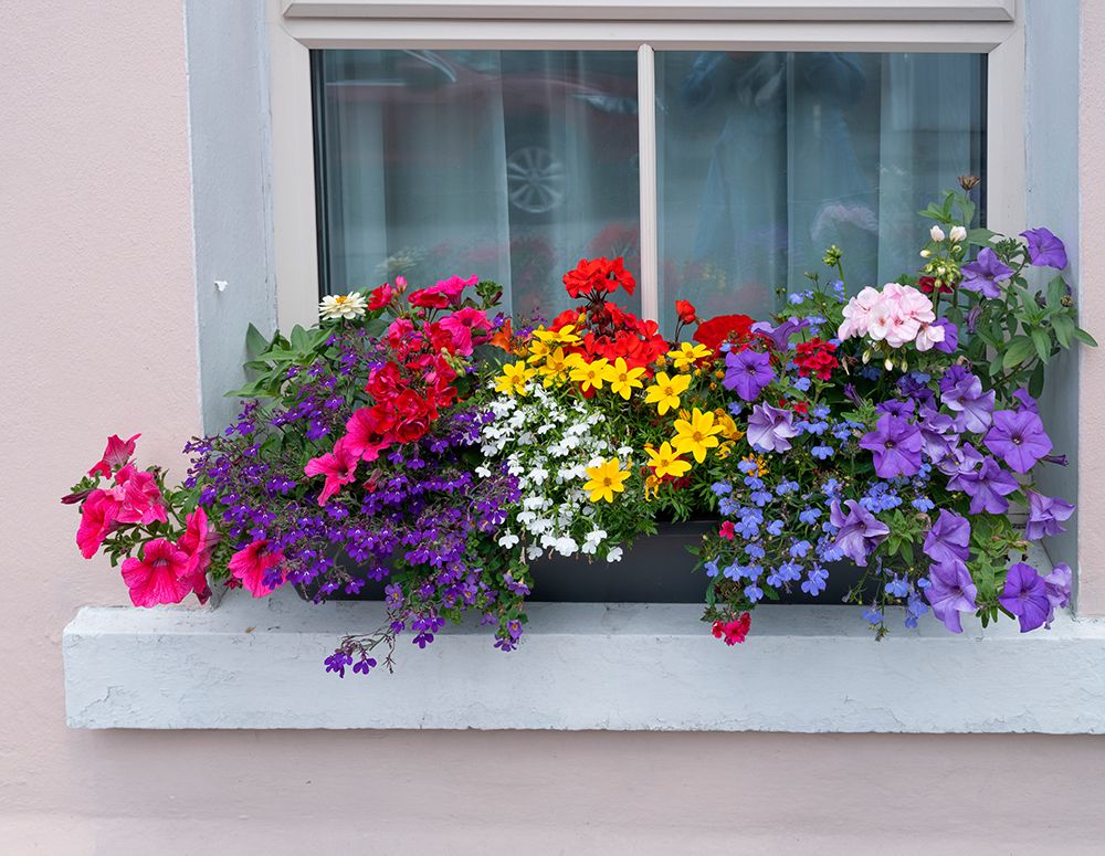 Window greets visitors in the village of Cong-Connacht County-Ireland. art print by Betty Sederquist for $57.95 CAD