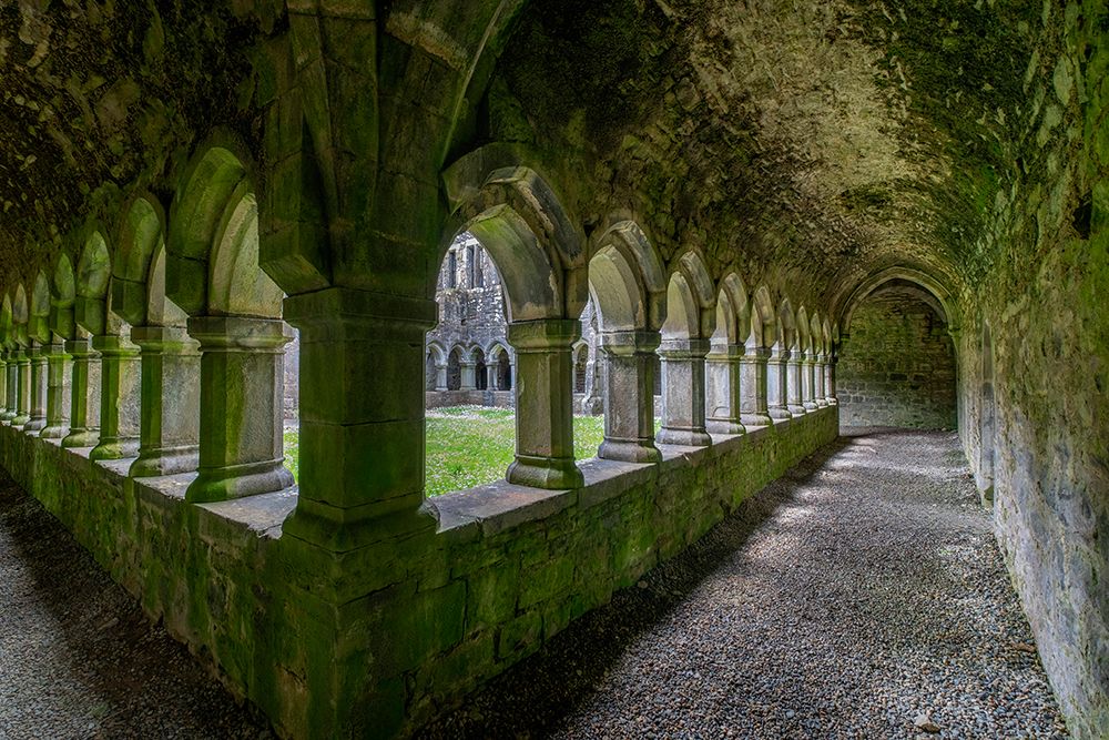 Ancient cloisters at Moyne Abbey-County Mayo-Ireland. art print by Betty Sederquist for $57.95 CAD