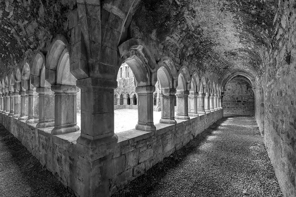 Ancient cloisters at Moyne Abbey-County Mayo-Ireland. art print by Betty Sederquist for $57.95 CAD