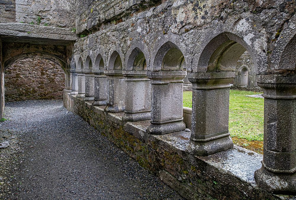 Cloister at Ross Friary in Ireland. art print by Betty Sederquist for $57.95 CAD