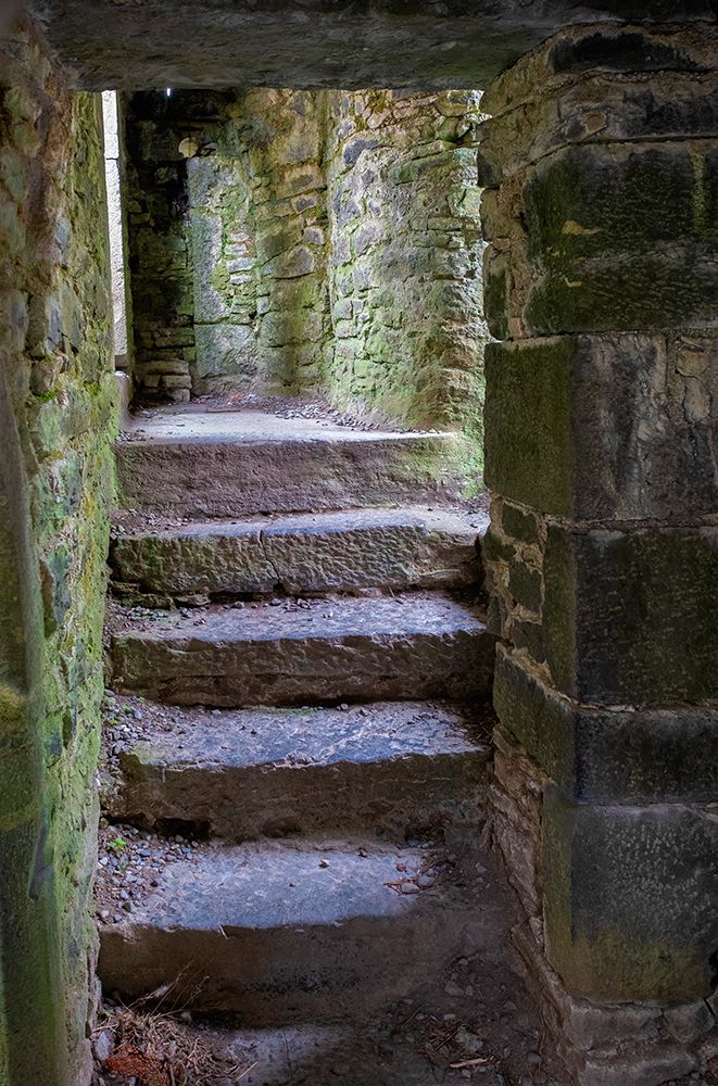 Ross Errily Friary. Located in County Clare-Ireland. art print by Betty Sederquist for $57.95 CAD