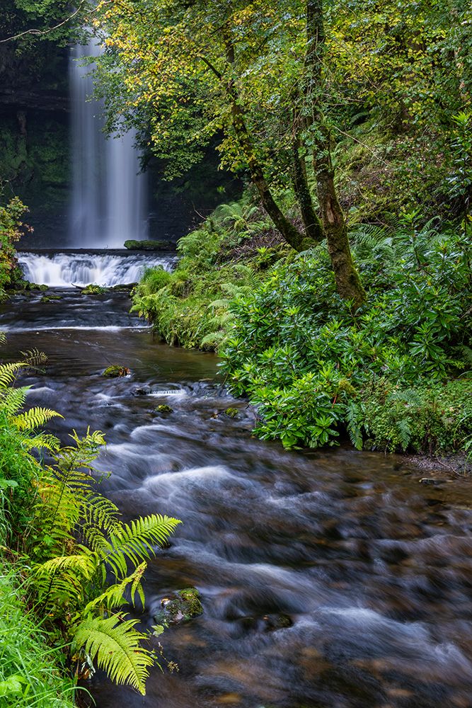 Glencar waterfall in County Leitrim-Ireland art print by Chuck Haney for $57.95 CAD