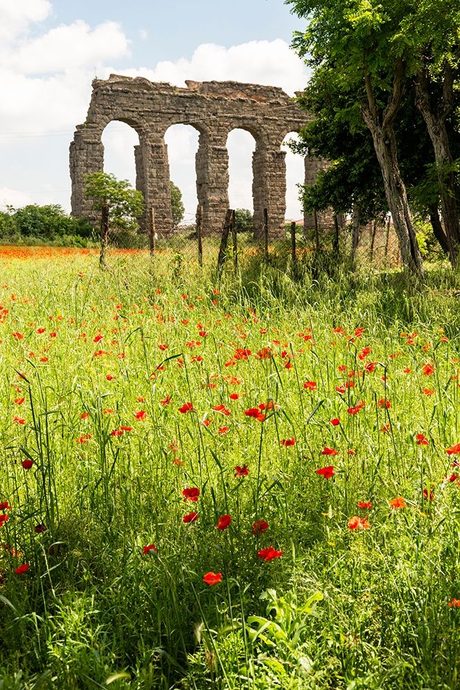 Italy-Rome Parc of the Aqueducts (Parco degli Acquedotti)-Acqua Claudio art print by Alison Jones for $57.95 CAD