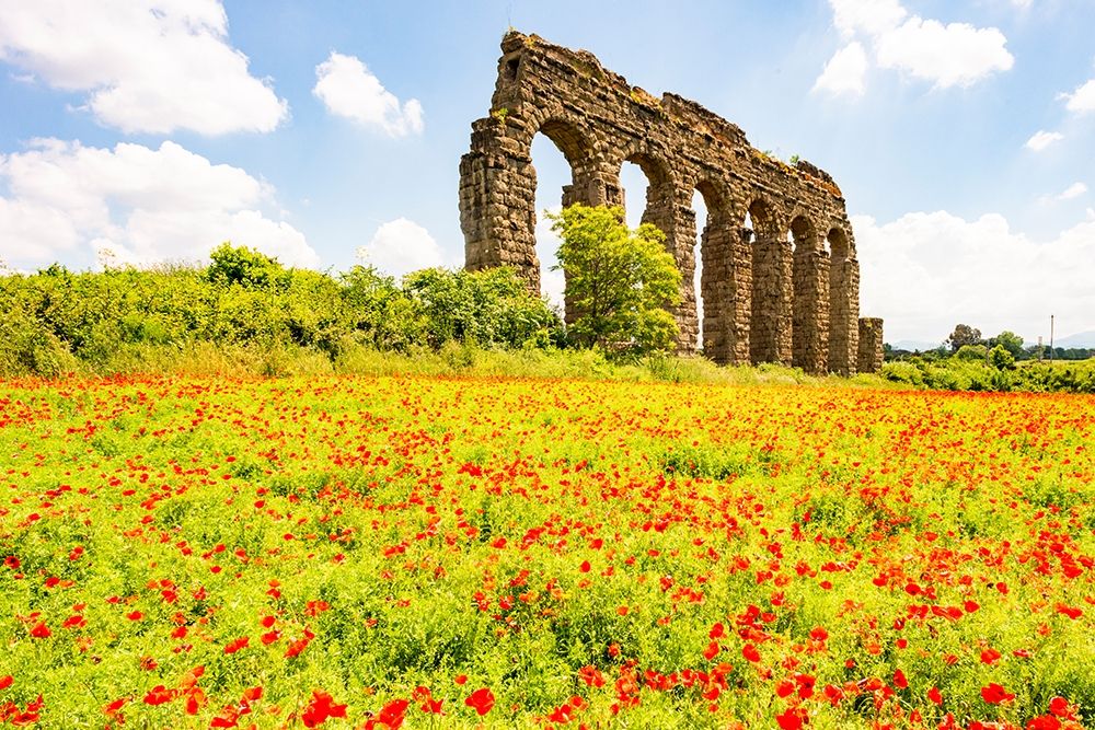 Italy-Rome Parc of the Aqueducts (Parco degli Acquedotti)-Acqua Claudio art print by Alison Jones for $57.95 CAD