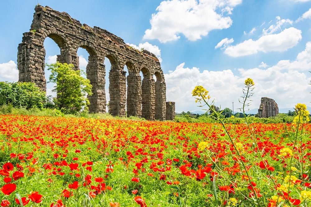 Italy-Rome Parc of the Aqueducts (Parco degli Acquedotti)-Acqua Claudio art print by Alison Jones for $57.95 CAD