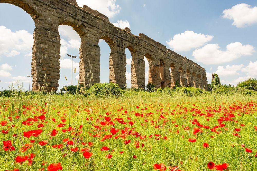 Italy-Rome Parc of the Aqueducts (Parco degli Acquedotti)-Acqua Claudio art print by Alison Jones for $57.95 CAD