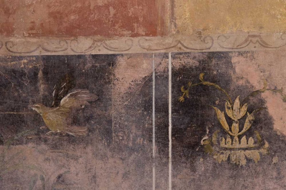 Italy, Campania, Pompeii Fullery of Stephanus art print by Wendy Kaveney for $57.95 CAD