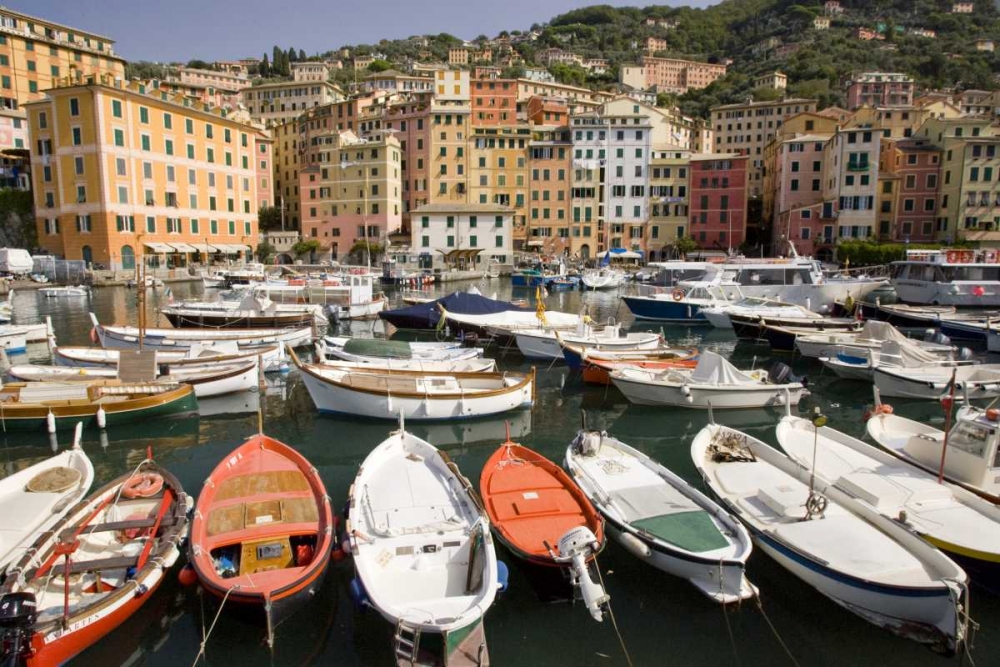 Italy, Camogli Boats moored in harbor art print by Wendy Kaveney for $57.95 CAD