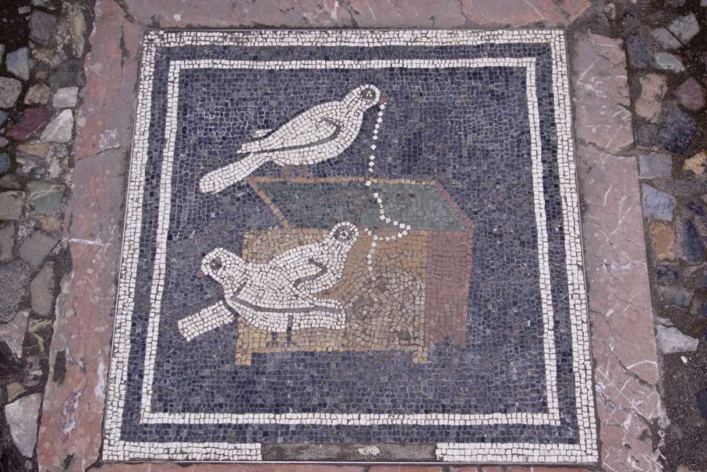 Italy, Pompeii Bird mosaic in House of the Faun art print by Wendy Kaveney for $57.95 CAD