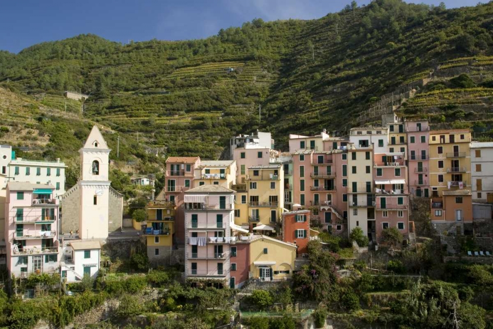 Italy, Manarola Town and terraced vineyards art print by Wendy Kaveney for $57.95 CAD