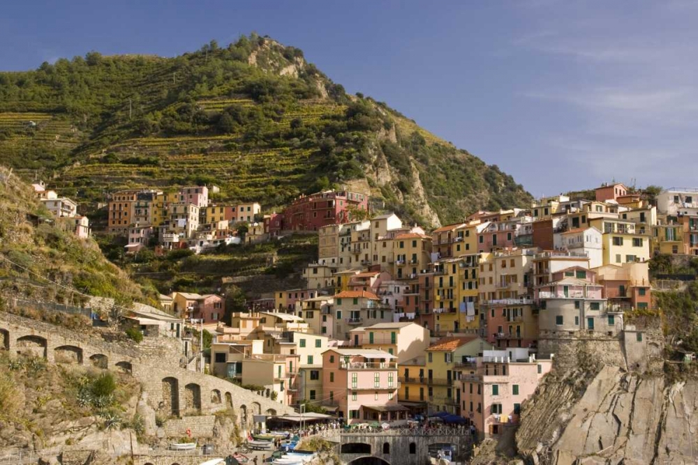 Italy, Manarola Town and terraced vineyards art print by Wendy Kaveney for $57.95 CAD