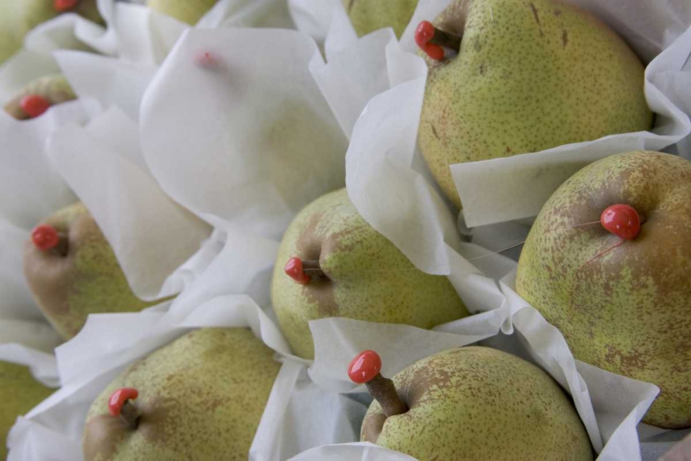 Italy, Venice Pears with red wax on stems art print by Bill Young for $57.95 CAD